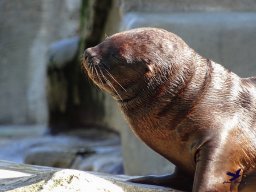 Tiergarten Schönbrunn am 03.10.2025
